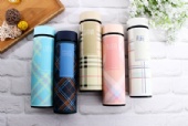 Stainless Steel Vacuum Insulated Grid Bottle