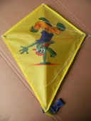 Advertising Kite for Kids
