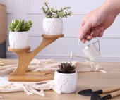 3pcs Owl Succulent Pots with 3 Tier Bamboo Saucers Stand Holder