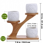 3pcs Owl Succulent Pots with 3 Tier Bamboo Saucers Stand Holder