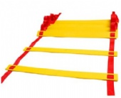 Agility Traning Ladder