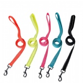 Classic Dog Leash Heavy Duty Nylon Webbing Pet Leash