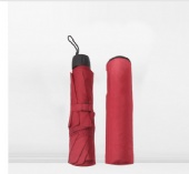 Folding Umbrella