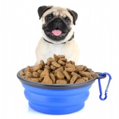 Collapsible Dog Bowl Silicone  Foldable with Carabiner Clip