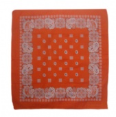 100% Cotton 22x22 inch Bandana