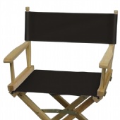 Director's Chair
