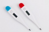 Digital Thermometer